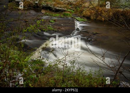 Loucka Fluss in der Nähe von Tisnov Stadt im Herbst bewölkt dunkel nass Tag Stockfoto