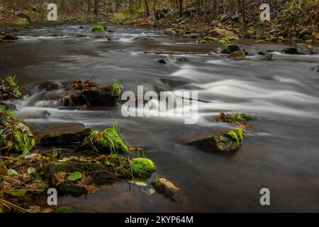 Loucka Fluss in der Nähe von Tisnov Stadt im Herbst bewölkt dunkel nass Tag Stockfoto