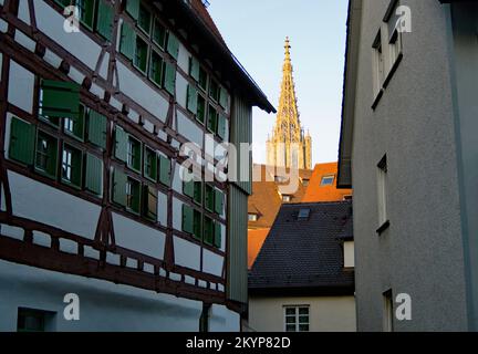 Malerischer Blick auf die Stadt Ulm mit ihrem berühmten gotischen Ulmer Münster oder Ulmer Münster und antiken Fachwerkhäusern an einem sonnigen Winterabend in Deutschland Stockfoto