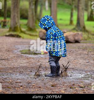 Ein Kind trägt einen blauen Regenmantel und hält Narzissen in der Hand, planscht in einer schlammigen Pfütze in einem Park herum. Stockfoto