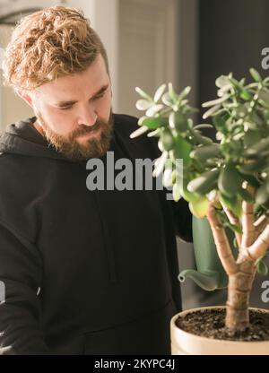 Mann, der zuhause saftige Hauspflanze durch Gießkanne gießt - Hausarbeit und Pflegepflanzenkonzept Stockfoto