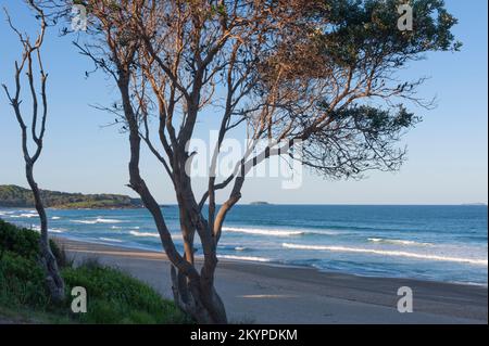 Park Beach im Morgenlicht, Coffs Harbour, New South Wales, Australien. Stockfoto