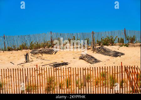 Lattenzäune an einem Sandstrand Stockfoto