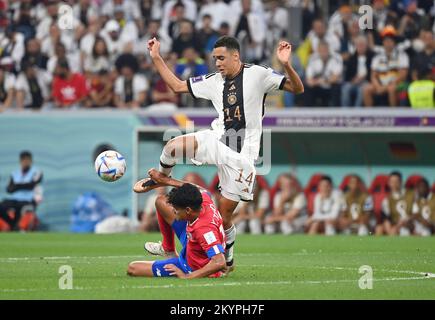 Katar, 01/12/2022, Jelzin TEJEDA (CRC) von links nach rechts, Jamal MUSIALA (GER) Aktion, Duels, Costa Rica (CRC) - Deutschland (GER), Gruppe Phase Gruppe E, 3. Matchday, Al-Bayt Stadium in Al-Khor, am 1.. Dezember 2022, Fußball-Weltmeisterschaft 2022 in Katar ab 20,11. - 18.12.2022 Stockfoto