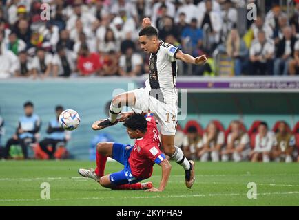 Katar, 01/12/2022, Jelzin TEJEDA (CRC) von links nach rechts, Jamal MUSIALA (GER) Aktion, Duels, Costa Rica (CRC) - Deutschland (GER), Gruppe Phase Gruppe E, 3. Matchday, Al-Bayt Stadium in Al-Khor, am 1.. Dezember 2022, Fußball-Weltmeisterschaft 2022 in Katar ab 20,11. - 18.12.2022 Stockfoto