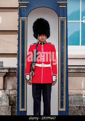 Wache im Buckingham Palace, London, England, Großbritannien Stockfoto