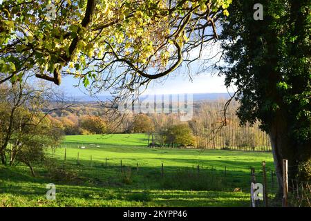 Landschaft in Underriver, südlich von Sevenoaks im Spätherbst, mit Blick auf Low Weald vom Greensand Ridge Steilhang. Sonniger, ruhiger Tag, farbenfroh Stockfoto