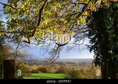 Landschaft in Underriver, südlich von Sevenoaks im Spätherbst, mit Blick auf Low Weald vom Greensand Ridge Steilhang. Sonniger, ruhiger Tag, farbenfroh Stockfoto