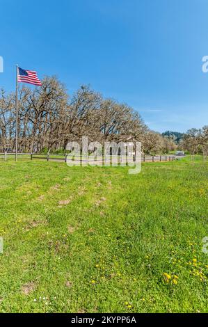 Die amerikanische Flagge fliegt im Dorris Ranch Park in der Nähe von Springfield, Oregon. Stockfoto