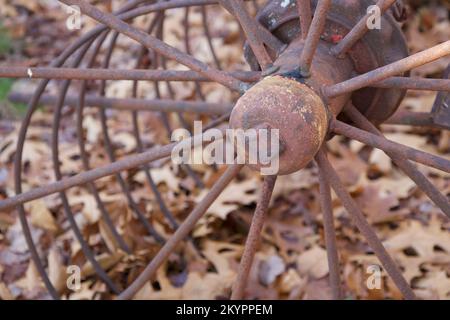 Alte, rostige Landmaschinen in New England mit getrockneten Herbstblättern im Hintergrund Stockfoto