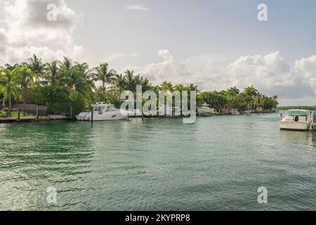 Das Boot legt unter der wolkigen Skyline in Miami Bay, Florida an. Auf der linken Seite stehen geparkte Boote, die Bäume und auf der rechten Seite ein einsames Boot. Stockfoto