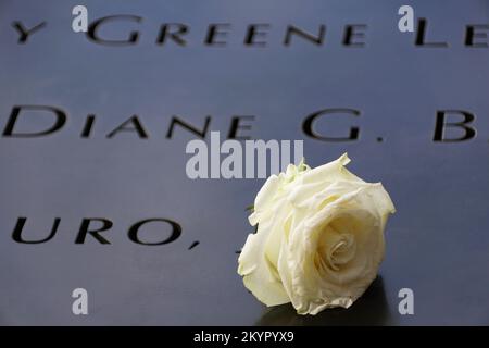 New York City, USA - 31. Oktober 2022 - Eine weiße Rose, die vom Namen des Überlebenden am World Trade Center Memorial gelegt Wurde Stockfoto
