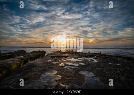 Hospital Reef, La Jolla, Kalifornien. Stockfoto