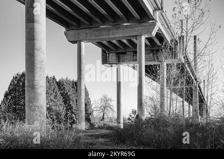 Unter Brücke. Betonbrückensäulen. Perspektivische Konstruktion unter der Brücke. Niemand, abstrakte Architektur, Foto in Schwarzweiß Stockfoto