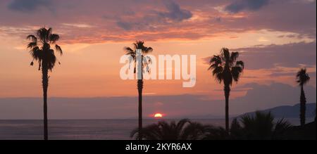 Sonnenuntergang über einer Bucht mit bunten Wolken und Vordergrundpalmen Stockfoto