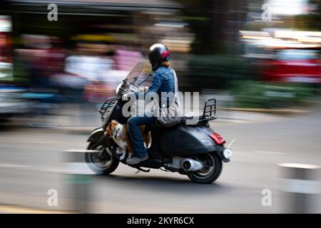 Frau und Hund pendeln auf dem Roller im Stadtteil La Condesa in Mexiko-Stadt Stockfoto