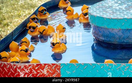 Gummienten schweben in einem kleinen Pool auf einem Jahrmarkt. Um zu spielen, wählt man eine Ente, und die Zahl darunter zeigt an, ob man einen Preis gewinnt Stockfoto