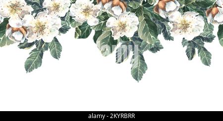 Nahtloses Muster. Feigenblüten und grüne Blätter. Aquarellzeichnung auf weißem Hintergrund. Stockfoto