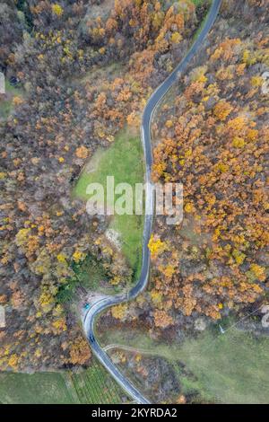 Vezzolacca Piacenza Italien szenische Drohne Luftaufnahme des Herbstes farbigen Treswald Stockfoto