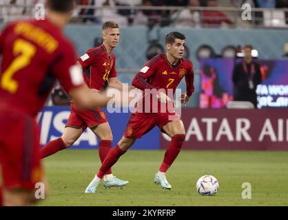 AR-Rayyan, Katar - 01/12/2022, Alvaro Morata von Spanien während der FIFA-Weltmeisterschaft 2022, Fußballspiel der Gruppe E zwischen Japan und Spanien am 1. Dezember 2022 im Khalifa International Stadium in Ar-Rayyan, Katar - Foto: Jean Catuffe/DPPI/LiveMedia Stockfoto