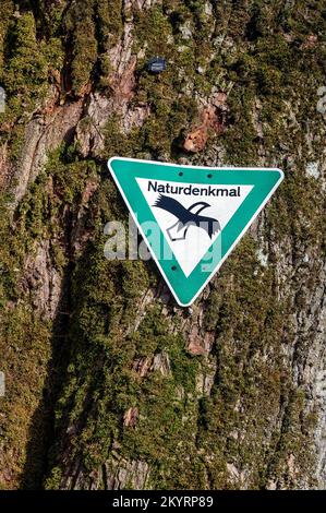 Hinweisschild, Naturdenkmal auf Limette (Tilia), nahe Altusried, Allgäu, Bayern, Deutschland, Europa Stockfoto