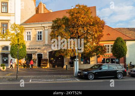 Blumenladen und Café frei in der Herbstsonne, Varkerulet, Sopron, Ungarn Stockfoto