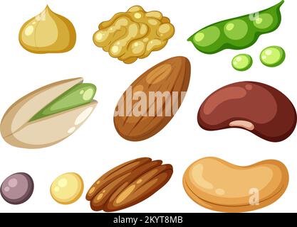 Group of protein foods illustration Stock Vektor