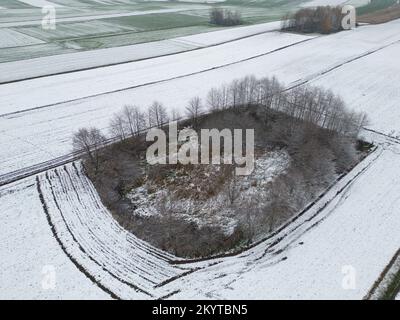 Ein kleiner Wald auf landwirtschaftlichen Feldern zu Beginn des Winters. Hintergrund des Schnees auf Ackerland Stockfoto