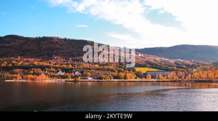 Norwegische Küstenlandschaft mit traditionellen Holzhäusern an einem sonnigen Herbsttag. Orkanger, Norwegen Stockfoto