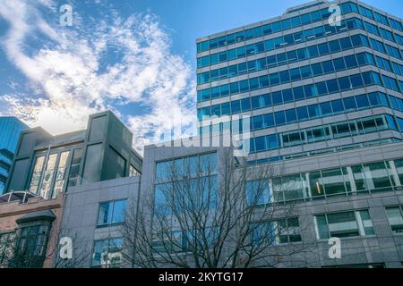 Austin, Texas: Die Gebäude der Business- und Residenzgebäude blicken von einer Straße mit blattlosen Bäumen aus. Moderne Gebäude mit reflektierenden Glasfenstern an der Skisee Stockfoto