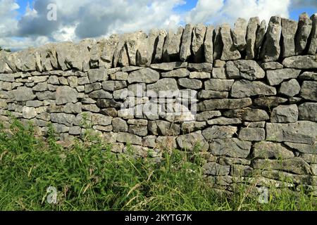 Beispiel einer karmbonischen Kalksteinwand aus Derbyshire, England Stockfoto