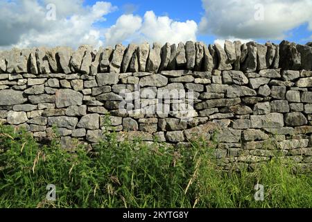 Beispiel einer karmbonischen Kalksteinwand aus Derbyshire, England Stockfoto