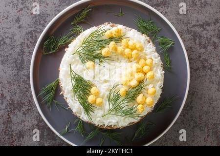 Leckerer Salat mit Salat, Zwiebeln, Kartoffeln, Karotten, Käse, Eier und Mayonnaise-Nahaufnahme auf dem Teller auf dem Tisch. Horizontale Draufsicht von oben Stockfoto