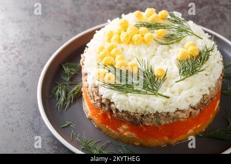 Leckerer Salat mit Salat, Zwiebeln, Kartoffeln, Karotten, Käse, Eier und Mayonnaise-Nahaufnahme auf dem Teller auf dem Tisch. Horizontal Stockfoto