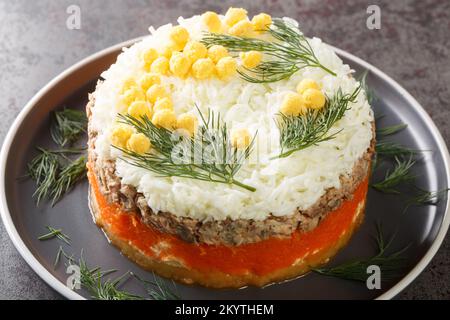 Mehrlagige Salat-Mimosa mit Gewürzkonserven, Kartoffeln, Käse, Karotten und Eiern auf dem Teller auf dem Tisch. Horizontal Stockfoto