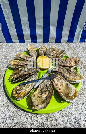 Große französische Austern, Besteck und eine Zitrone liegen auf einem Teller Stockfoto