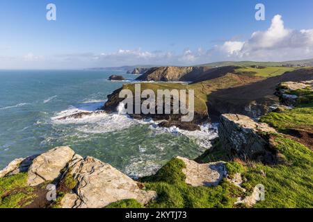 Tintagel Haven, Barra Nose und die Küste von Nord-Cornwall von Tintagel Island, Cornwall, England Stockfoto