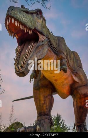 Land der lebenden Dinosaurier: Vorderansicht eines großen Dinosauriers, Tyrannosaurus rex (T-rex), zeigt isoliert im Freien mit weit offenem Kiefer. Stockfoto