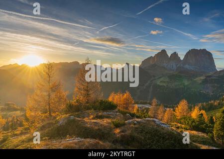 Herbstblick auf die Dolomitgruppen Sassolungo und Sassopiatto mit Lärchenbäumen im Vordergrund Stockfoto