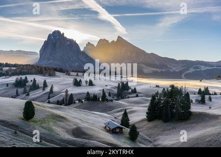 Am frühen Morgen auf der Alpe di Siusi - Seiser Alm (Dolomiten, Italien) Stockfoto