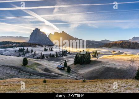 Am frühen Morgen auf der Alpe di Siusi - Seiser Alm (Dolomiten, Italien) Stockfoto