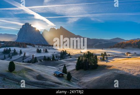 Am frühen Morgen auf der Alpe di Siusi - Seiser Alm (Dolomiten, Italien) Stockfoto