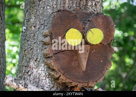 Hölzerne Eule, handgefertigt aus Holzstücken, auf dem Ast im öffentlichen Park platziert Stockfoto