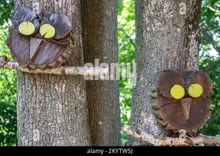 Hölzerne Eule, handgefertigt aus Holzstücken, auf dem Ast im öffentlichen Park platziert Stockfoto