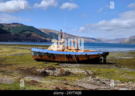 Ein gestrandeter alter Fischtrawler auf Grund am Ufer der nördlichen Minch bei Morvich in den schottischen Highlands, vom Hafen aus gesehen (links) Stockfoto