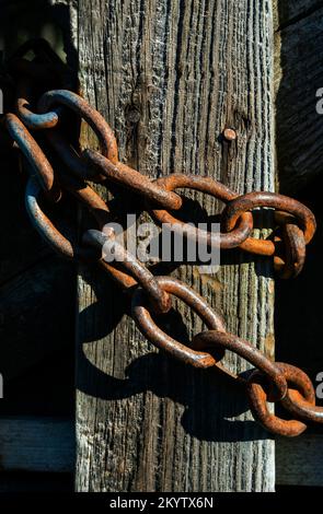 Rostige Kette, die am Nachmittag in natürlichem Licht um einen Holzpfosten gewickelt wurde Stockfoto