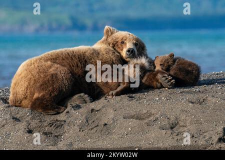 Mit Mama kuscheln. Alaska, USA: DIESE BEZAUBERNDEN Bilder zeigen zwei junge Jungen, die am Strand spielen, und kuschelnde Mütter für Wärme. Ein charmantes Bild Stockfoto