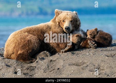 Alles warm. Alaska, USA: DIESE BEZAUBERNDEN Bilder zeigen zwei junge Jungen, die am Strand spielen, und kuschelnde Mütter für Wärme. Ein charmantes Bild zeigt die mumm Stockfoto