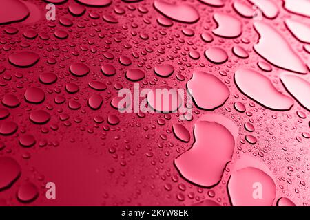 Struktur von Wassertropfen auf dem Glas, strukturiertes natürliches Muster in kräftigem Magenta. Stockfoto