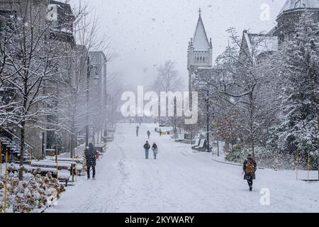 Montreal, Kanada - 16. November 2022: MC Tavish Street und Morrice Hall während Schneesturm Stockfoto